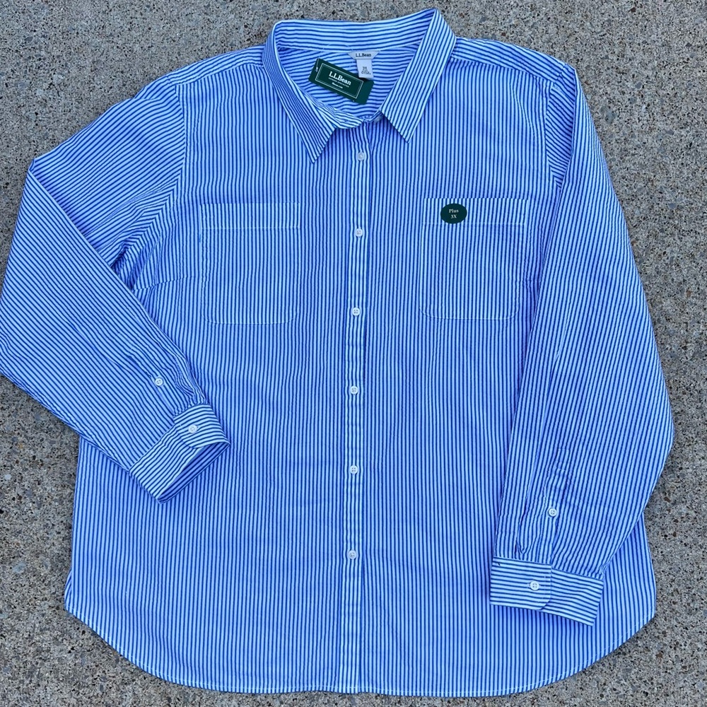 L.L. Bean Blue and White Striped Button-Down Shirt